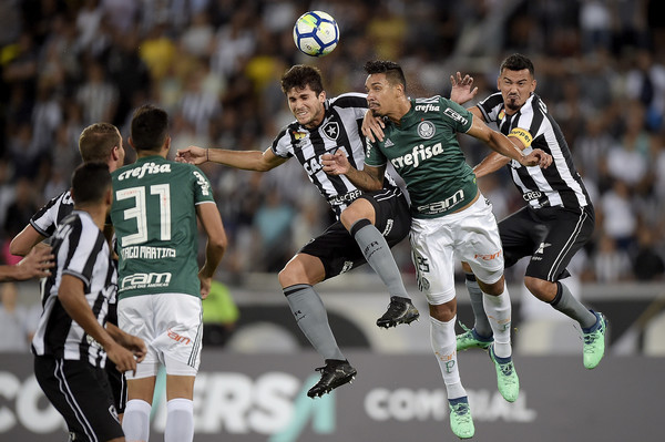 Palmeiras vs Botafogo